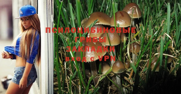 бутират Надым