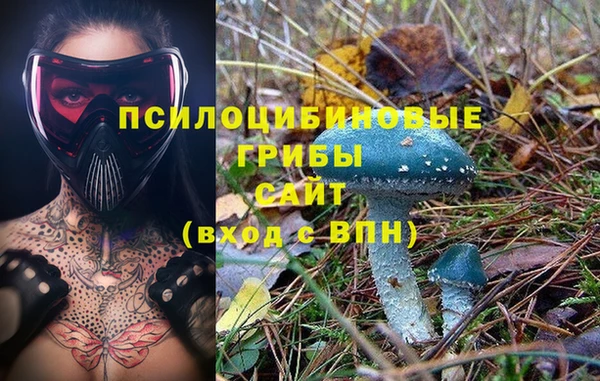 бутират Надым