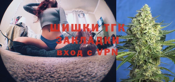 индика Михайлов