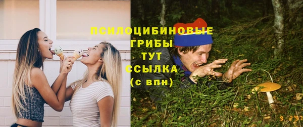 бутират Надым