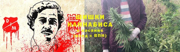 бутират Пионерский