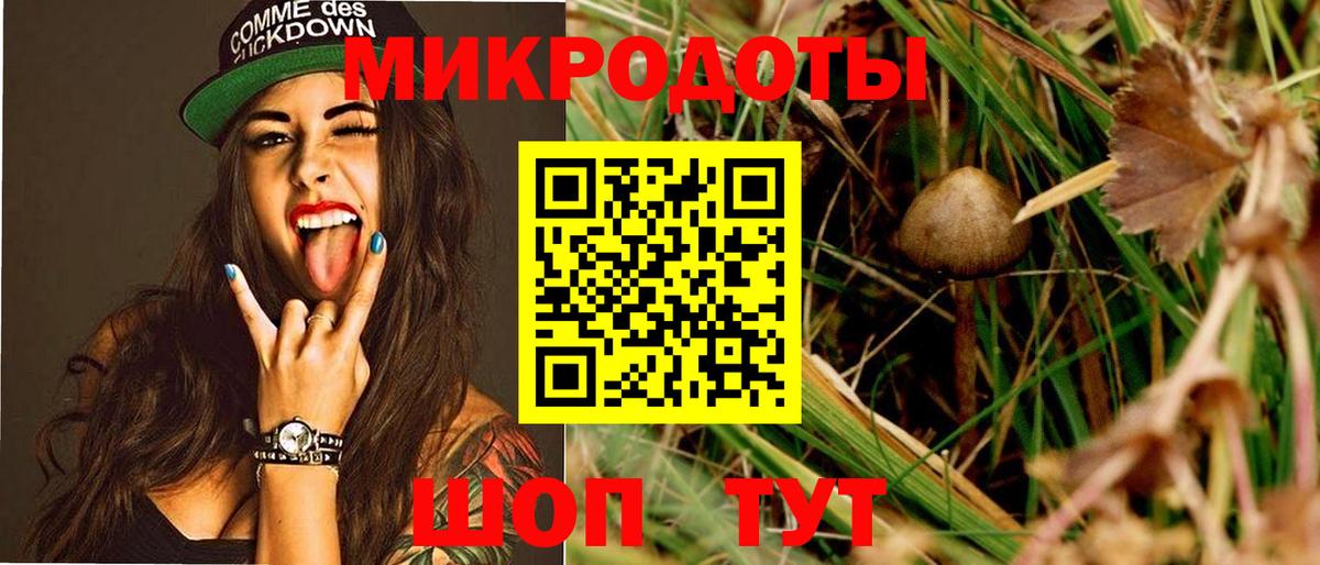 Галлюциногенные грибы мухоморы Абинск
