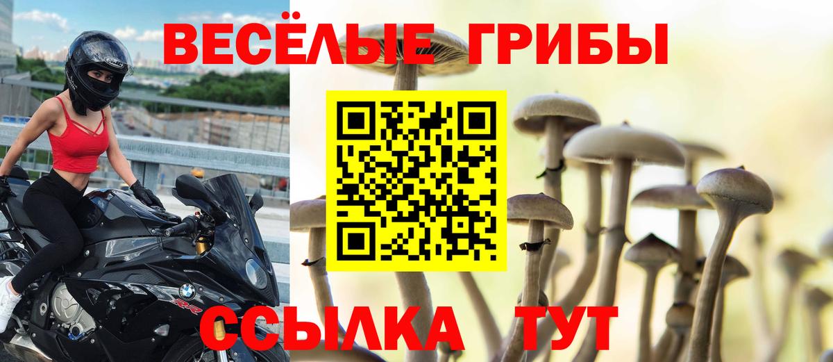Галлюциногенные грибы Psilocybe Абинск