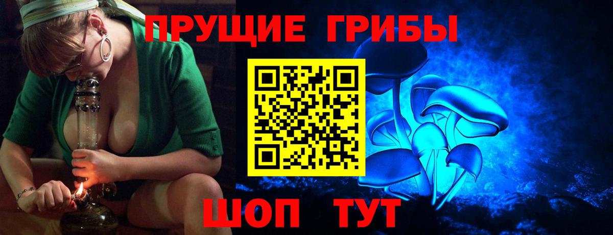 Галлюциногенные грибы Psilocybine cubensis  Вход с VPN  Абинск 
