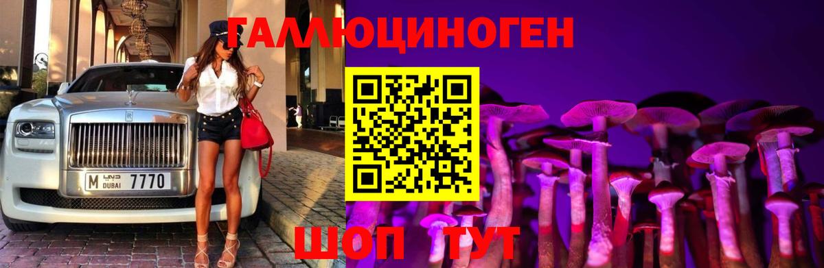 Псилоцибиновые грибы Cubensis  Псилоцибиновые грибы MAGIC MUSHROOMS  Абинск  Вход с VPN 