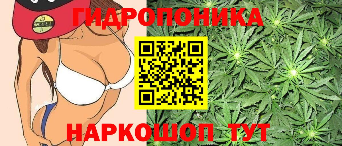 Марихуана Bruce Banner  Вход с VPN  Абинск  Марихуана Bruce Banner 